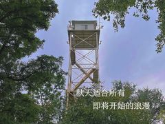 -云岗森林公园