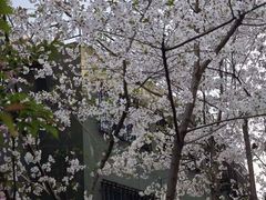 -徐家汇源景区-衡山公园