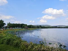 -尚湖风景区