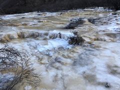 -黄龙山原始森林景区