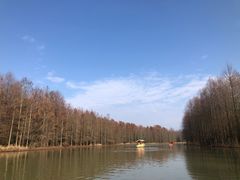 -上海海湾国家森林公园