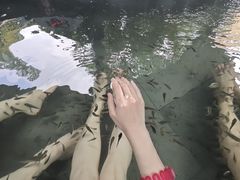 -扬州瘦西湖温泉