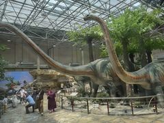 -国家自然博物馆