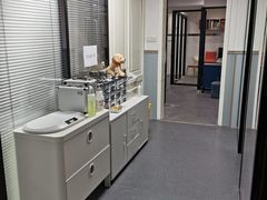 -伟伟宠物医院·CT影像中心·瑞派犬猫综合性门诊(汉口总院)