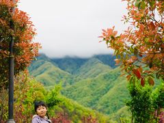 -朝阳沟