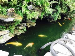 -三亚夏威夷大酒店