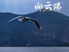 -海埂大坝