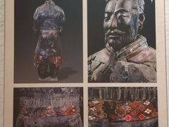 -秦始皇帝陵博物院(兵马俑)