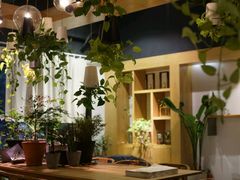 -柴务处·柴犬主题狗咖