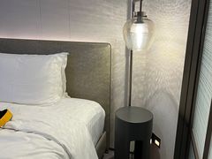 -深圳国际会展中心希尔顿酒店(前海华发冰雪世界店)