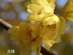-塔子山公园