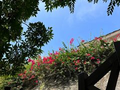 -广州市流溪河国家森林公园