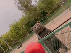 -秦皇岛野生动物园