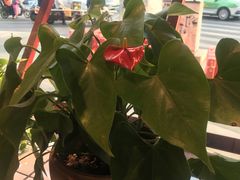 -蛙一刀·麻椒鱼火锅(金仙桥店)