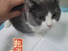 -泰洋动物医院·神经专科·磁共振·CT(天河公园总院)