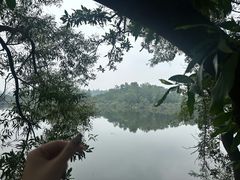-大屏嶂森林公园