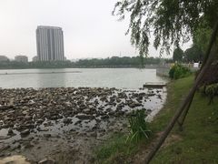 -南翔镇银翔湖公园