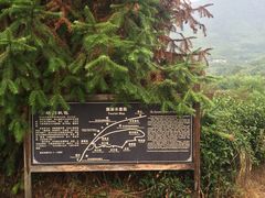 -塔川景区