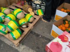 -双福水果批发市场