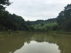 -铁山坪森林公园