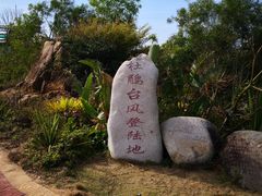 -广东惠东海龟国家级自然保护区