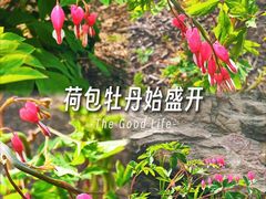 -郑州植物园