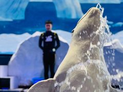 -秦皇岛乐岛海洋王国