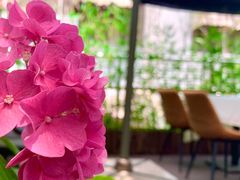 -Pasha帕夏土耳其餐厅(南昌路店)