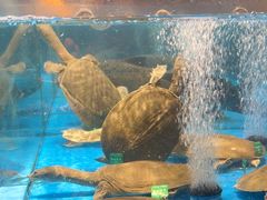 -耕渔小院·湖南鱼鲜(望城店)