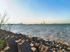 -上海滨江森林公园