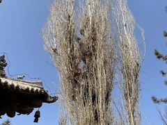 -张掖大佛寺景区