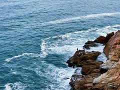 -广东惠东海龟国家级自然保护区