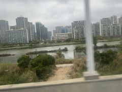 -芒洲湿地公园