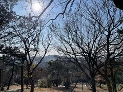 -青岛德国总督楼旧址博物馆