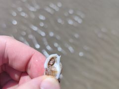 -南澳海滩