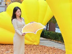 -中粮·祥云小镇