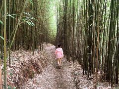 -仙山谷激浪漂流