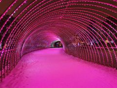 -长春世界雕塑园冰雪艺术天地