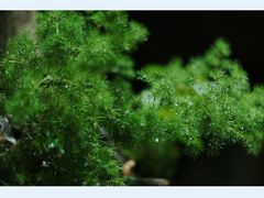 -行人小筑·茶馆(岑村火炉山分店)