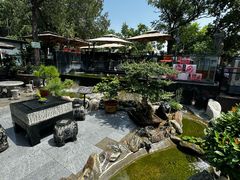 -蘇河湾·新鲁菜·泰山宴(泰山店)