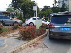 -三合租车