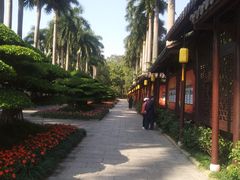 -金花茶公园