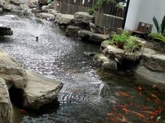 千岛湖鱼头汤-森谷美食公园(杨行店)