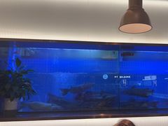 -老板恋上鱼(印象城店)