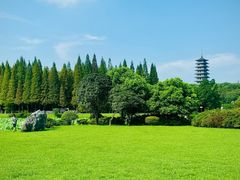 -宜兴龙背山森林公园