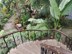 -北京植物园-展览温室