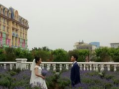 -百万葵园