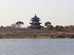 -上海海湾国家森林公园