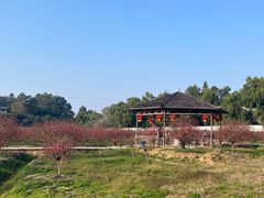 -南国桃园旅游度假区