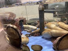 -旺顺阁海鲜广场(亚运村店)